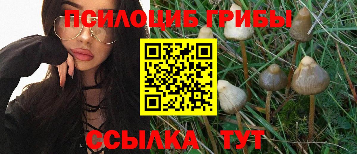 купить наркотики цена  Галлюциногенные грибы мицелий  Вход с VPN  Галлюциногенные грибы мухоморы  Сатка 