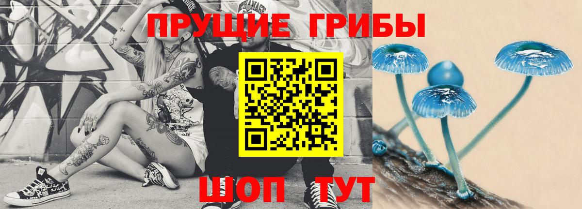 Псилоцибиновые грибы Psilocybe Сатка